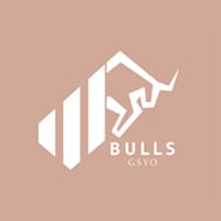 Bulls Girişim Sermayesi (BULGS) halka arz sonuçları